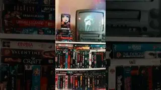 Scream (1996) on vhs 📼 #scream #wescraven #ghostface #vhstapes