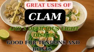 The surprising benefits of clams & 3 recipes for a healthier life