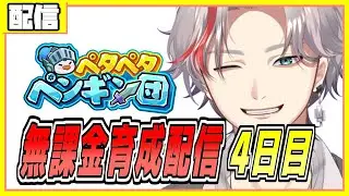 ペタペタペンギン団 無課金育成配信　4日目