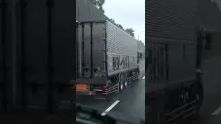 茨一運輸さんグラプロ雨の常磐道激走かっこいい〜蝶マーカーウロコ随所アオリの文字はナニ文字ですか？#トラック #デコトラ #グラプロ  #常磐道