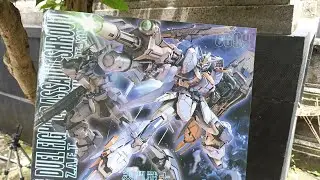 Unboxing MG 1/100 Duel Assault Shrout by Daban
