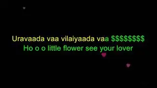 Oh... little flower see your lover... Karoke with scrolling lyrics... By TMS...