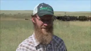 Controlling Cattle Parasites with LongRange