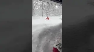 Man Fights Way Through Chest Deep Lake-Effect Snow