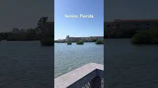 #travel #florida #lifeisbutadream