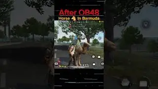 Horse 🐴 In Barmuda After OB48 Update - Garena Free Fire Max
