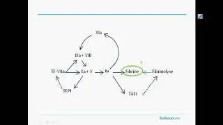 College Antistolling (Module B)