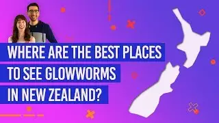✨🐛 Where are the Best Places to See Glowworms in New Zealand?