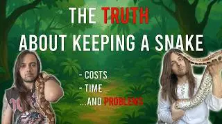 Things I WISH I KNEW before owning a Snake - Costs, Time, and Problems 🐍