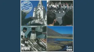 Chiroco Andino