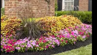 Mulch Delivery Bergen County NJ Mulch Delivery Bergen County Review Mulch Delivery Bergen County NJ