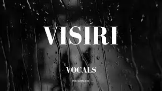 Visiri  (without music ) vocals | Enai Noki Paayum Thota | @VocalsOnly-01