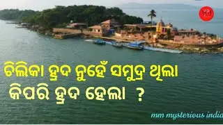 About chilika lake@chilika lake in odisha.how chilika lake formed