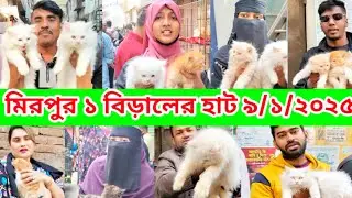মিরপুর ১ বিড়ালের হাট | Mirpur 1 Biraler hat | Cat Price in Bangladesh | Mirpur 1 Pet Market #cat 