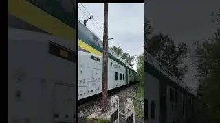 #treno #treni #train #tren #ferrovia #trenord