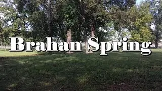 Geese at Brahan Spring Park in Huntsville, AL (re-up)