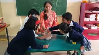 pompom picking activity