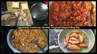 എല്ലാർക്കും സന്തോഷം നിറഞ്ഞ ഹാപ്പി ക്രിസ്തുമസ് |Busy Day