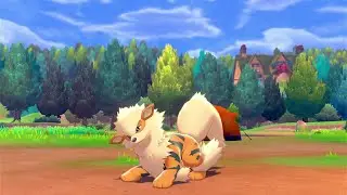 Arcanine in Pok&eacute;mon Camp (Sword and Shield)