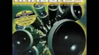 Hardbass Rave Allstars - Hardcore Vibes
