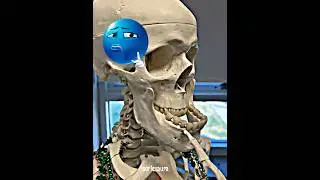 wait for end🤯😱#edit#mewing #trollface