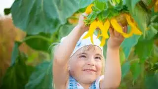 The Sunny World of Amazing Sunflowers for Kids!