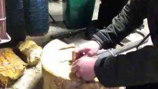 Red gum bark fire lighting