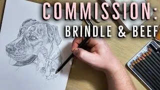 Commission: Brindle & Beef [@UnderstandingCreativity MIRROR]