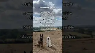 Hopping on the trend! #dogtraining #dogtrainer #forcefreedogtraining #positivereinforcement