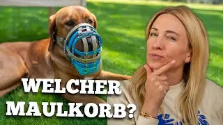 Maulkorb für deinen Hund: So findest du die richtige Größe