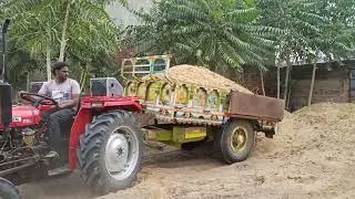 अलडू की खेती में मिट्टी डालने से लाखों का फायदा 