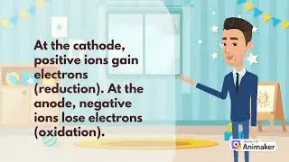 Electrolysis Cell