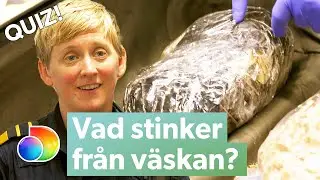 Vad stinker från den kvarglömda väskan på Arlanda? | Gränsbevakarna Sverige | discovery+