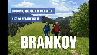 Divočina, kde okrem medveďa nikoho nestretnete (Brankov, Nízke Tatry)