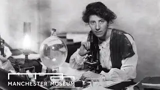 Marie Stopes Plant Fossils | Manchester Museum