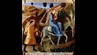 Mass for the feast of the Holy Family - Dec 28, 2025
