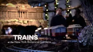 New York's Botanical Gardens | Video Production & Storytelling Experts