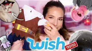 ♡ 8 OBJETS WISH (wtf) POUR NOS CHATS !