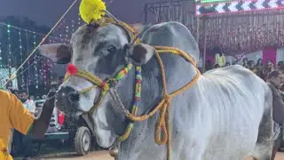 అన్నంబొట్లవారిపాలెం జూనియర్స్ 9వ జత.కాకర్ల సురేష్ బాబు గారు. నాదెండ్లవారిపాలెం గ్రామం