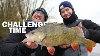 Die Challenge⁉️  3 K&ouml;der | 3 Fische