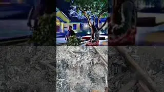 song#balveer#vivaan #ananya#trending#viral#populer #short#video #vanshsayani #ytshort #vivan