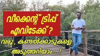 Khor kalba mangrove center | kalba mangrove forest | weekend travel destination |#khorkalba