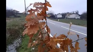 Arbol De Navidad I Julgran 💖🎄😍🤶 💕🙏