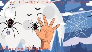 The Finger Family Spider || Finger Family Nursery Rhymes & Songs For Kids