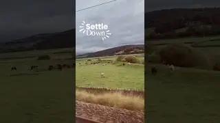 SETTLE (Down) 🌳🌦️ #settle #nature  #hiking #yorkshire #sky #countryside #uk #views #shorts