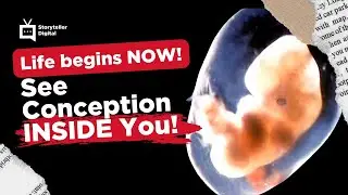 Witness the Miracle of Life UNFOLD! See the MOMENT of CONCEPTION (Inside the Womb!)