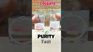 Purity Testing of Colgate #colgate #experiment #science #shorts