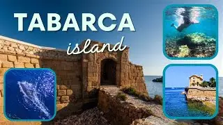 How to get to Tabarca Island - Snorkelling and Dolphins in Alicante Costa Blanca - Spain Travel Vlog