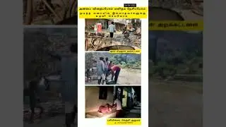 உணவை வீணாக்காதீர்கள் #viral #trending #god #humanity #video #help #people