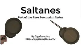 Saltanes (Pans) Rare Percussion Instruments